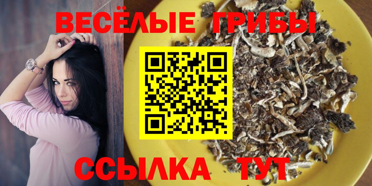 Галлюциногенные грибы прущие грибы Дальнереченск