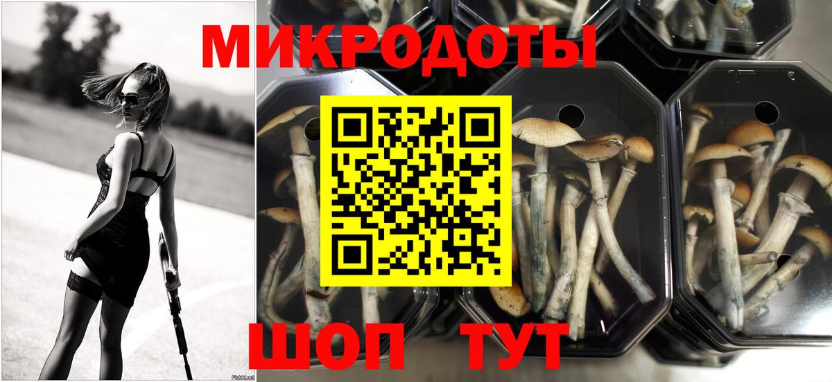 Дальнереченск  Галлюциногенные грибы Psilocybe  Псилоцибиновые грибы MAGIC MUSHROOMS  Вход с VPN 